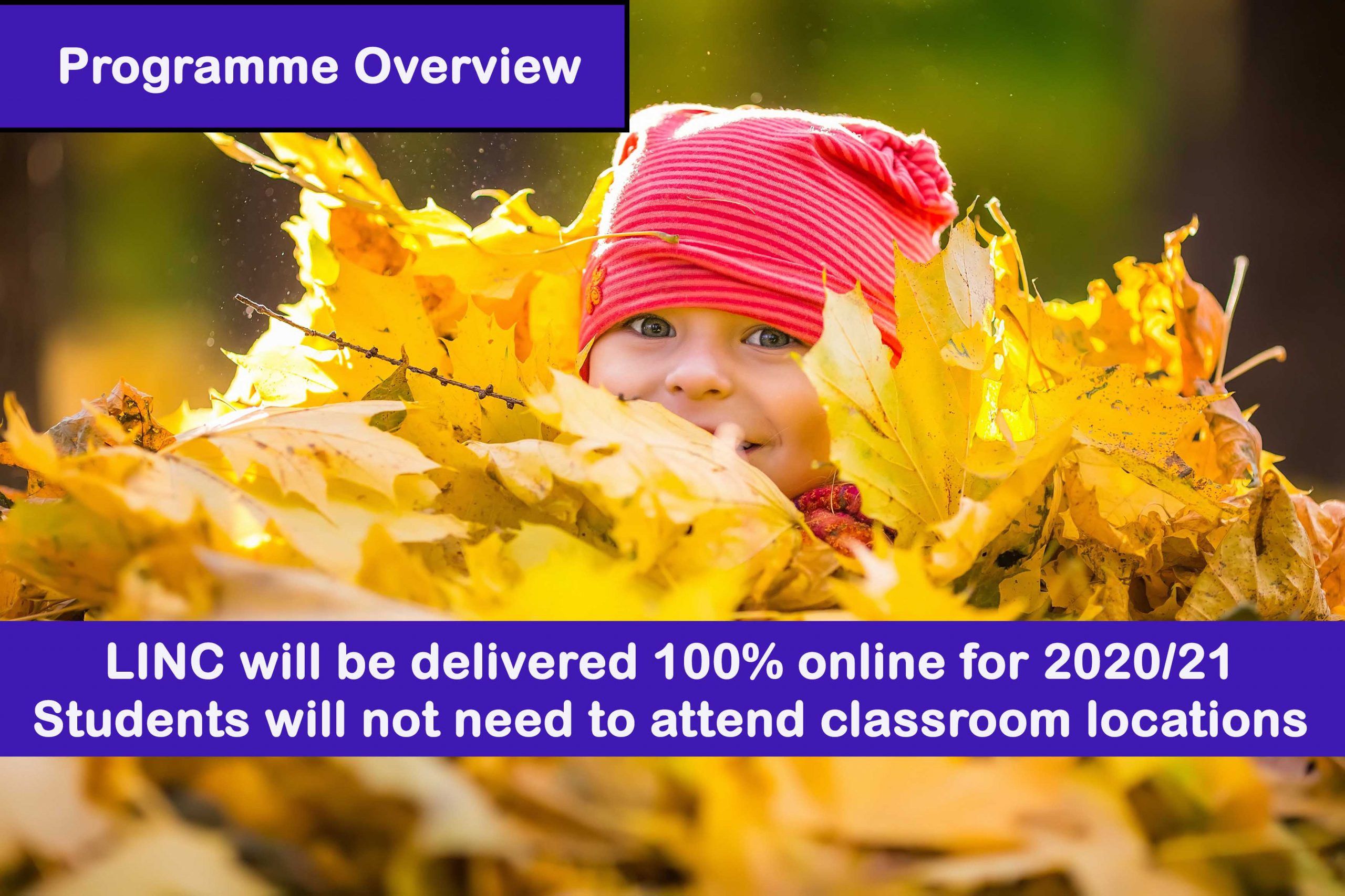 Website programme overview 2021