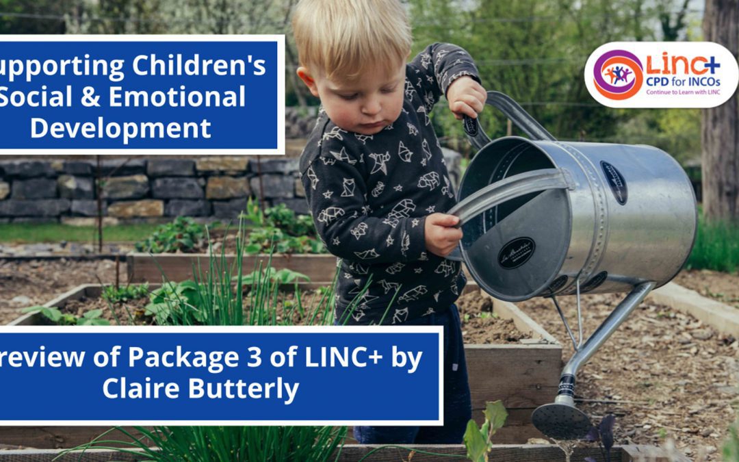 Supporting Children’s Social and Emotional Development – Preview of Package 3 of LINC+