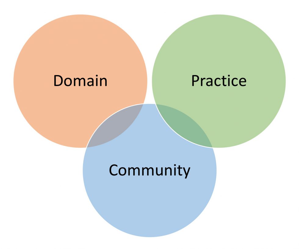 Examining communities of practice Leadership for Inclusion, LINC